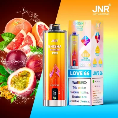 Love 66 | Shisha Max 22K Puffs Disposable Vape